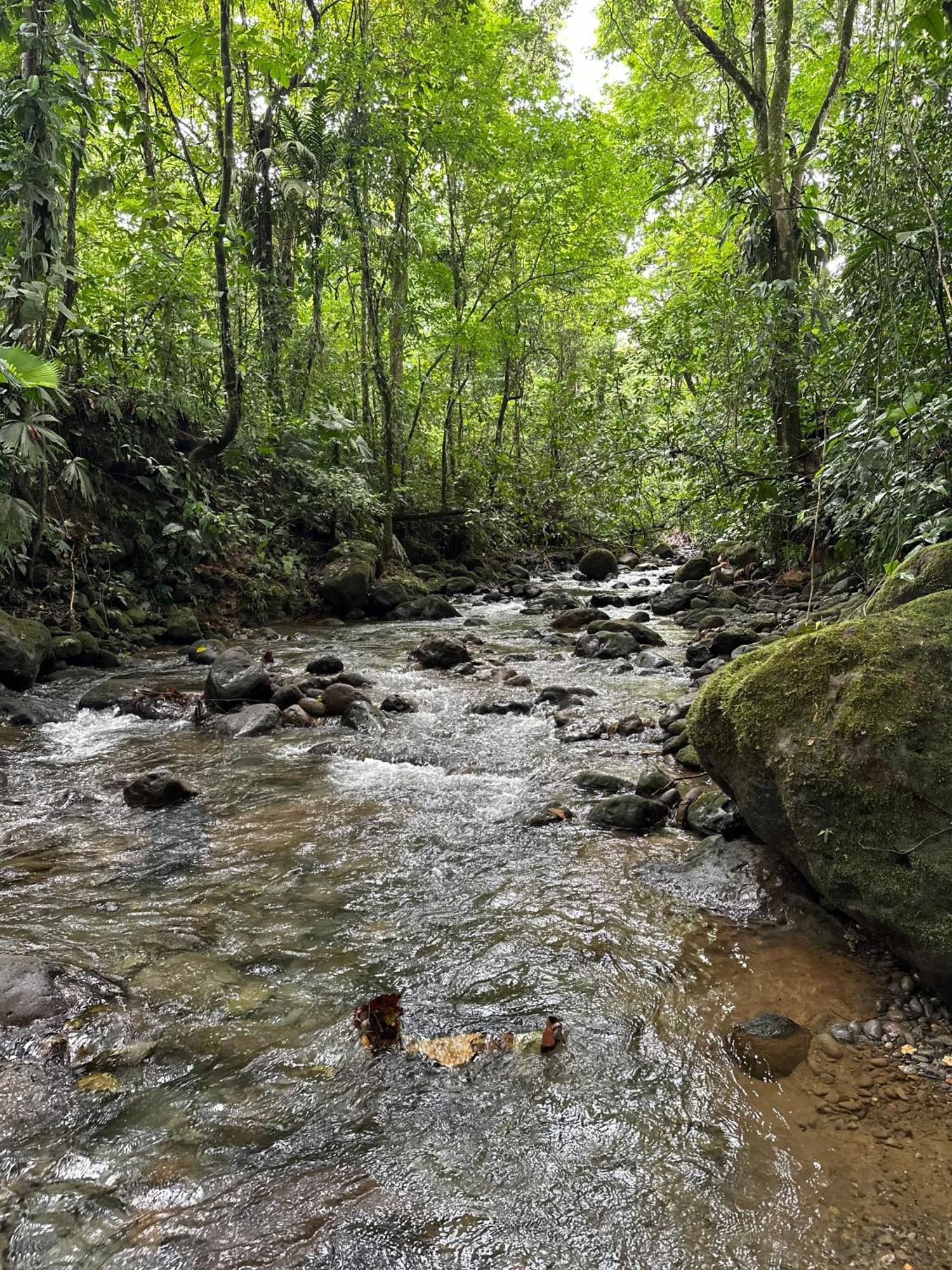 Villas Sapiens Arenal La Fortuna Exteriér fotografie